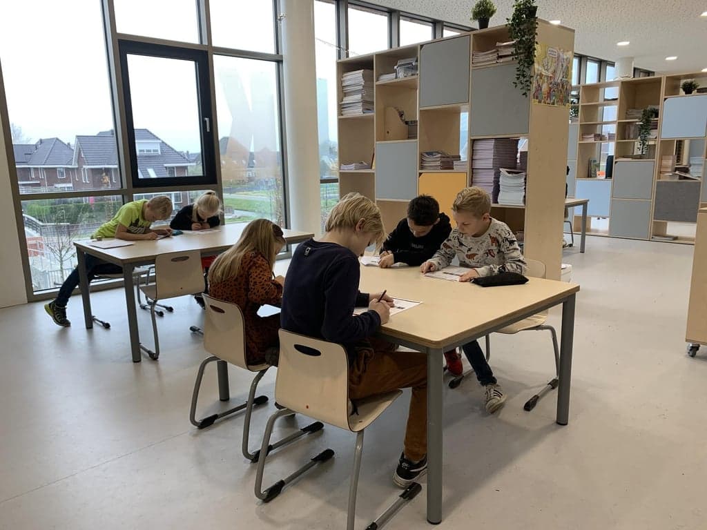 Socrates Meetketting foto 9