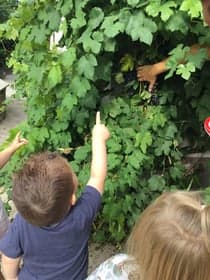 Kindercentrum Huize Zeldenrust BSO - locatie Wittenhorst foto 10