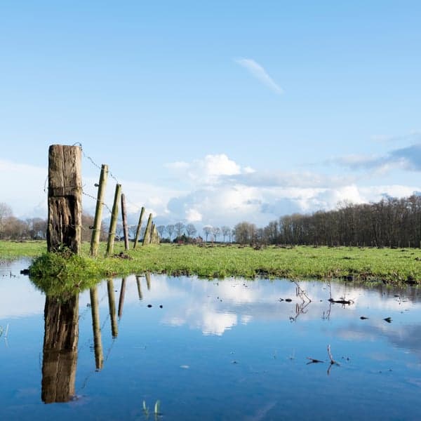 Partou BSO Vierkante Bosje 37 foto 9