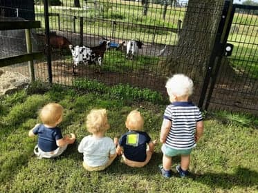 Kinderdagverblijf de Vossebelt 2