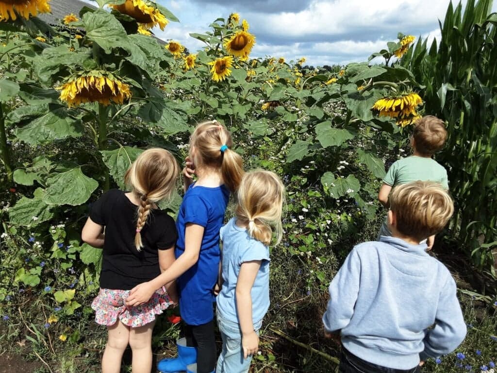 Kinderdagverblijf de Vossebelt foto 4