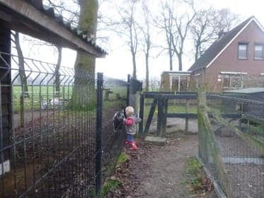 Kinderdagverblijf de Vossebelt foto 5