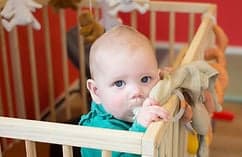 KDV De Vlinderboom De Loods foto 7