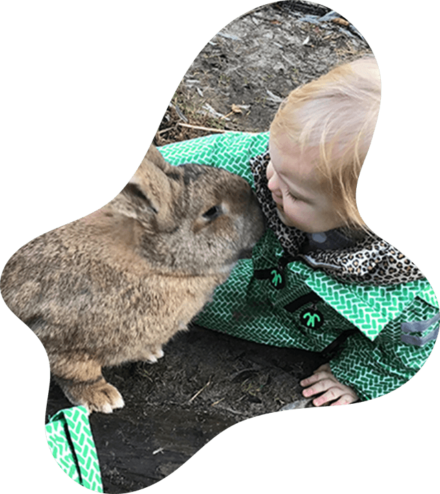 Quinzokids de manege B.V. foto 6