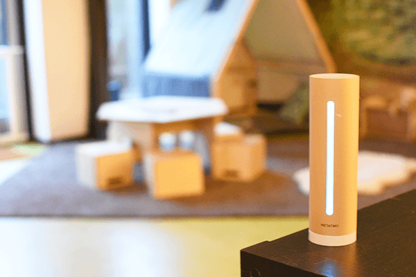 Quinzokids de manege B.V. foto 9