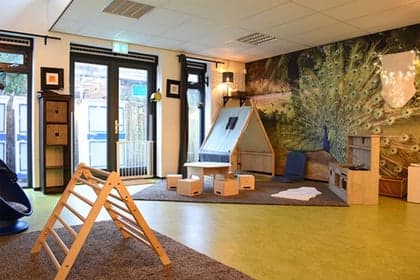 Quinzokids de manege B.V. foto 10