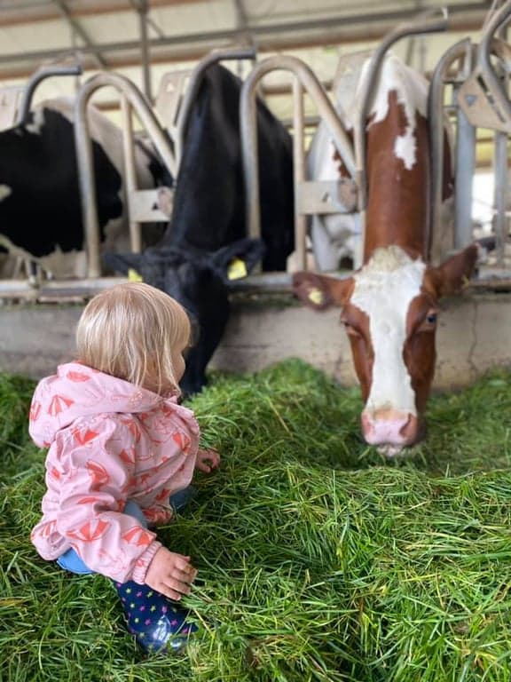 De Ark kinderopvang op de boerderij foto 4