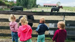 De Ark kinderopvang op de boerderij foto 5