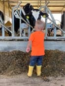 De Ark kinderopvang op de boerderij foto 10