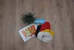 De Zonnestraaltjes foto 6