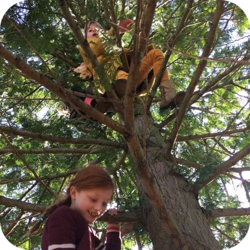 BSO Korte Verspronckweg foto 6