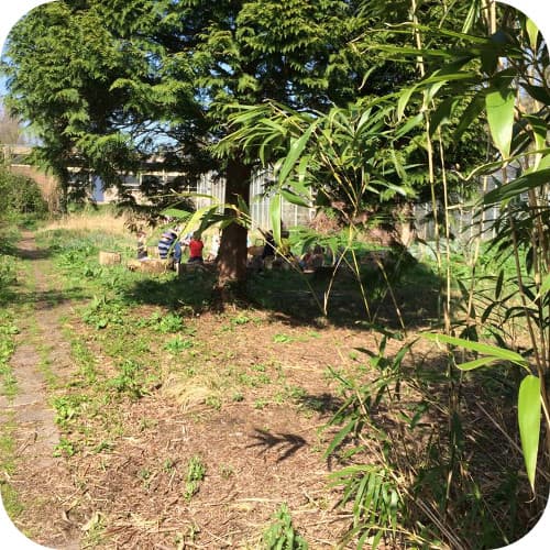 BSO Korte Verspronckweg foto 7