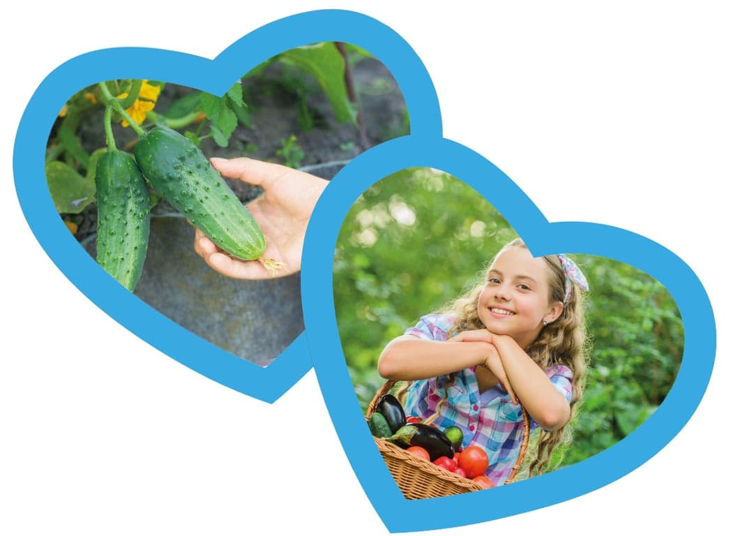 IKC Kleurrijk Waddinxveen