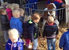 KDV Tjalleberd Pinokkio foto 6