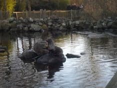 Kinderopvang De Wielenweide B.V. foto 9