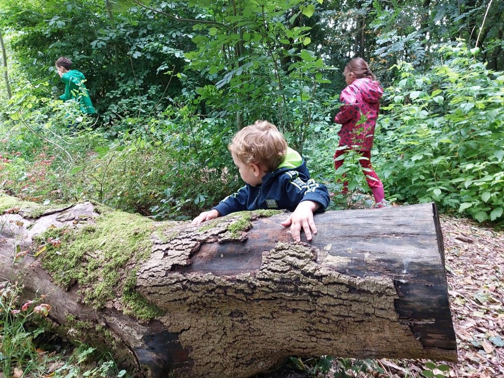 Mosterdzaadje Kinderopvang 3