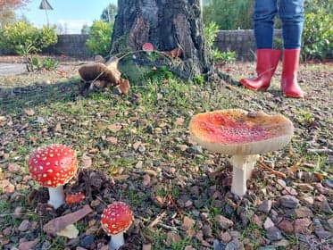 Mosterdzaadje Kinderopvang foto 5