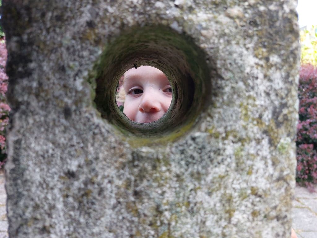 Mosterdzaadje Kinderopvang foto 8