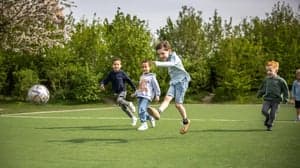 BSO Pirapoleon foto 6