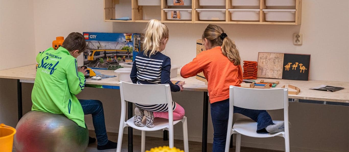 Peuterplus Old Skool+ foto 4