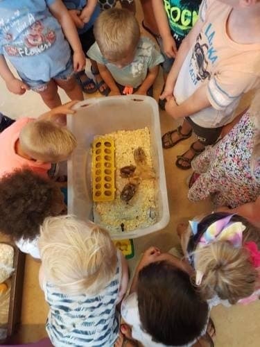 Villa Tamboerke foto 5