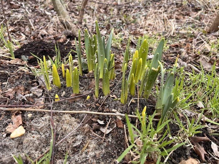 Peutergroep Thijm foto 9