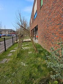 Eigen&Wijzer BSO IKC Sint Ludgerus foto 5