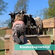 Bij de Handjes foto 4