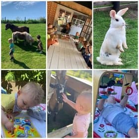 Bij de Handjes foto 8