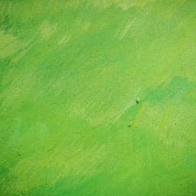 Buitenschoolseopvang De Bosplaats foto 7