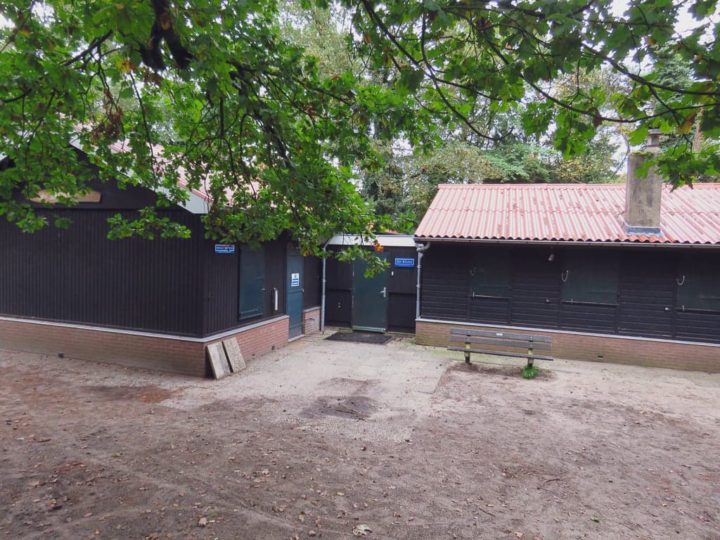 Buitenschoolseopvang De Bosplaats foto 10