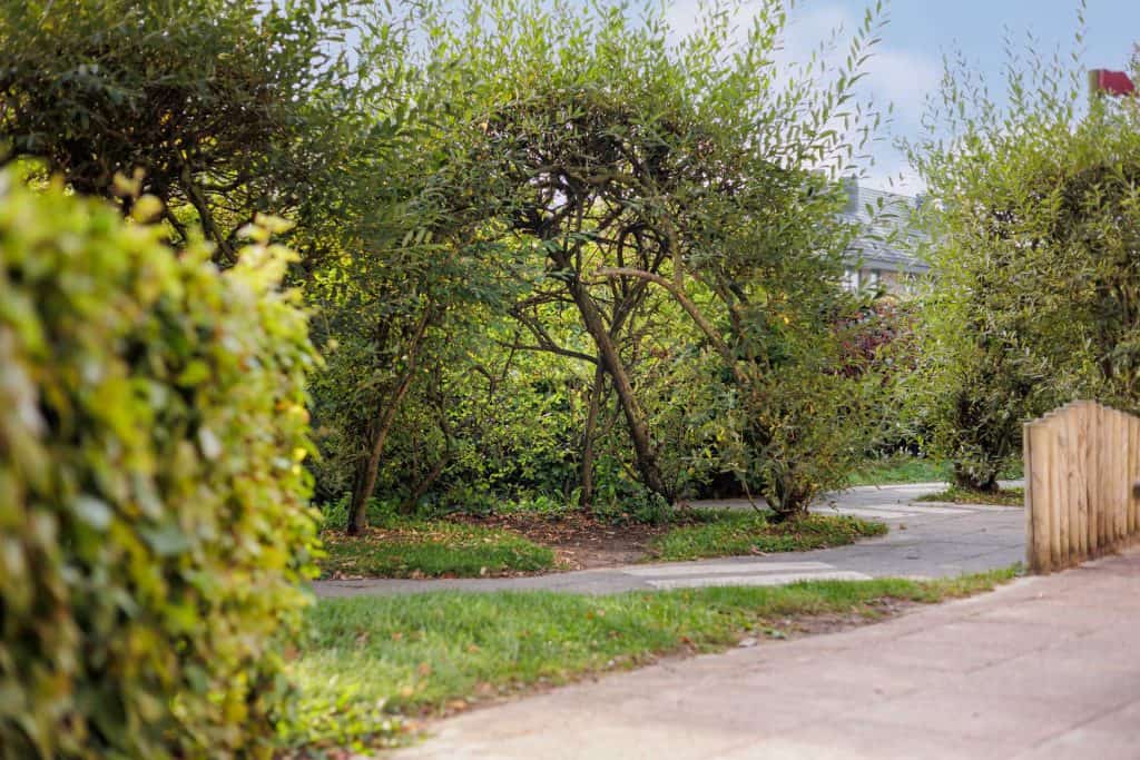 KinderRijk Buitenschoolse Opvang Alsemlaan foto 10