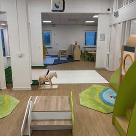 Komplayt kikkerkroost foto 4