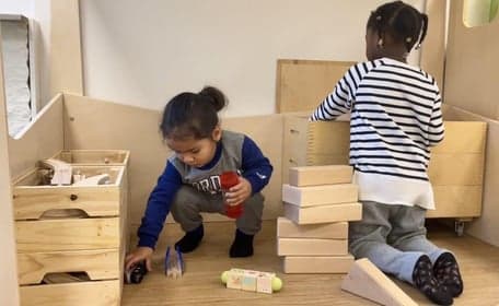 Komplayt kikkerkroost foto 8