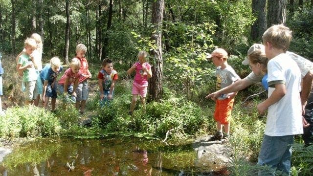 SKSG Kastanjeplein foto 6