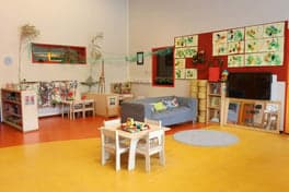 Kinderwoud POV Thomas 2