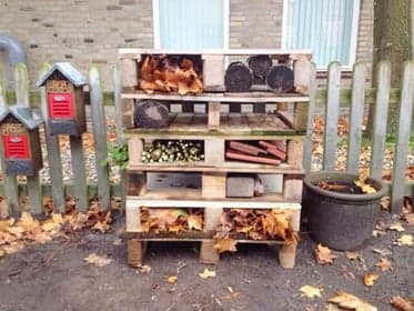 Club Basker - Staringlaan foto 6