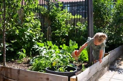 Wiedewei Puttershoek foto 5