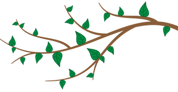 De Vrolijke Mol foto 5