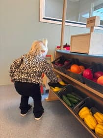 Peuteropvang De Groene Rups