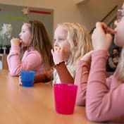 BSO De Robbedoes foto 5