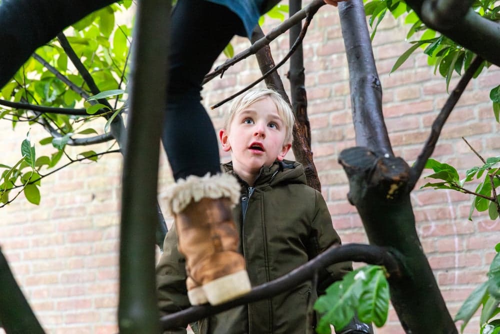 Donkey Kinderdagverblijf en BSO foto 5