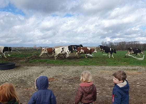 Kinderopvang Het kleine grut 2