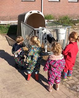 Kinderopvang Het kleine grut foto 5