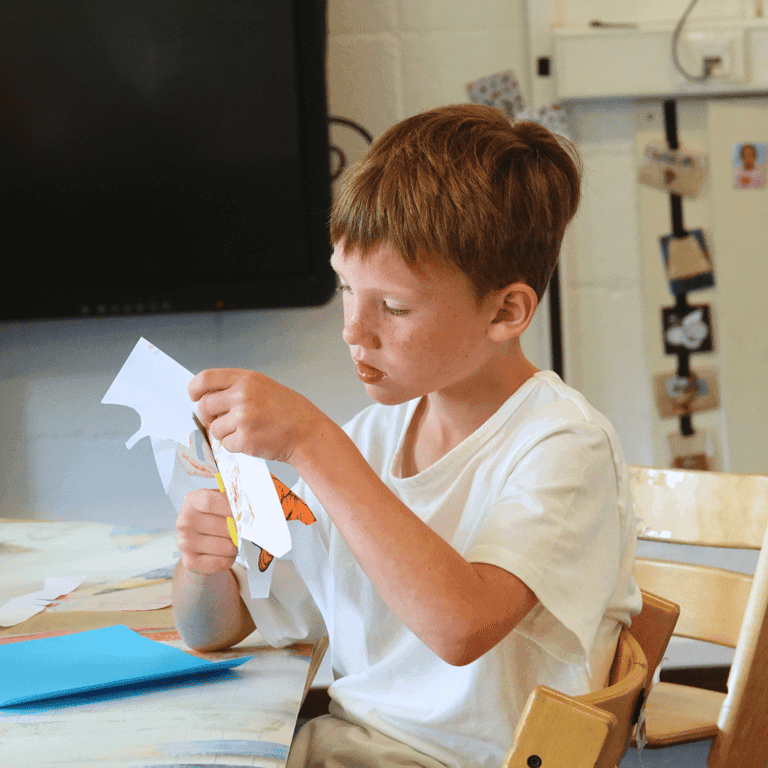 BSO de Albatros foto 7