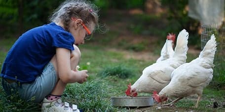 To Be Kind, Locatie Kroonkruid - BSO foto 4