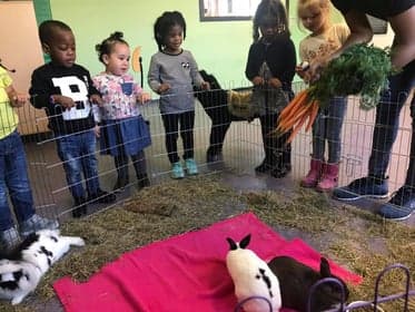 Kiddoozz KDV de Bevertuin foto 9