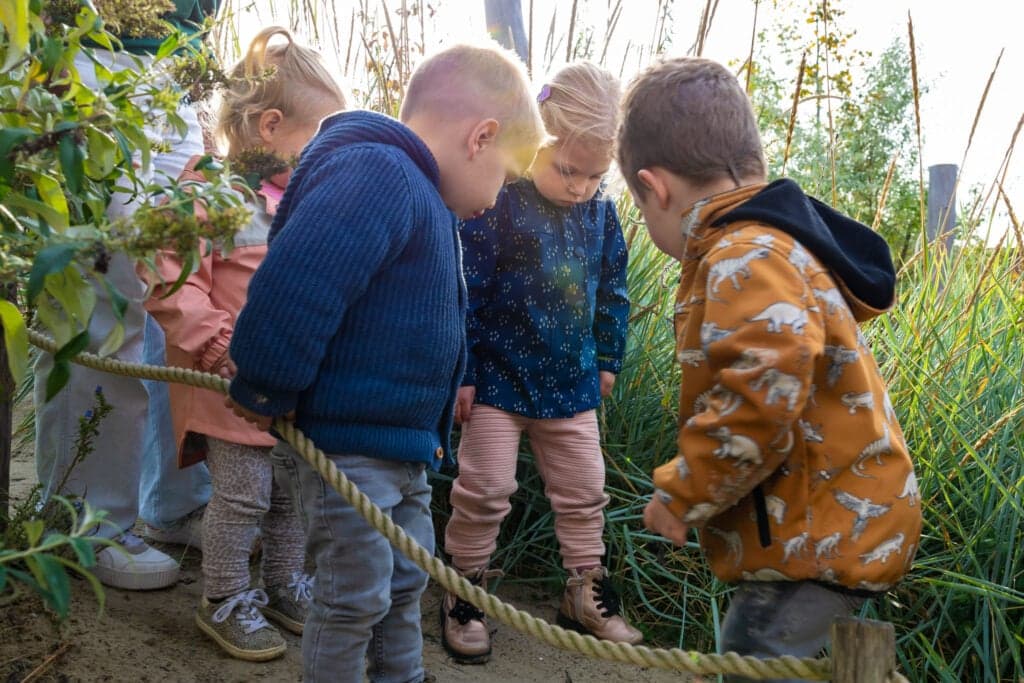 Zo aan de Buitenhof foto 4