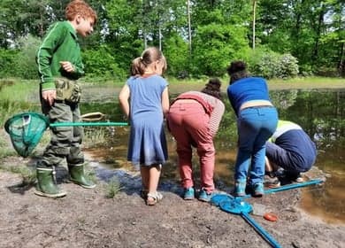 Bos-BSO Berezoon foto 5