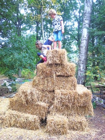 Bos-BSO Berezoon foto 6